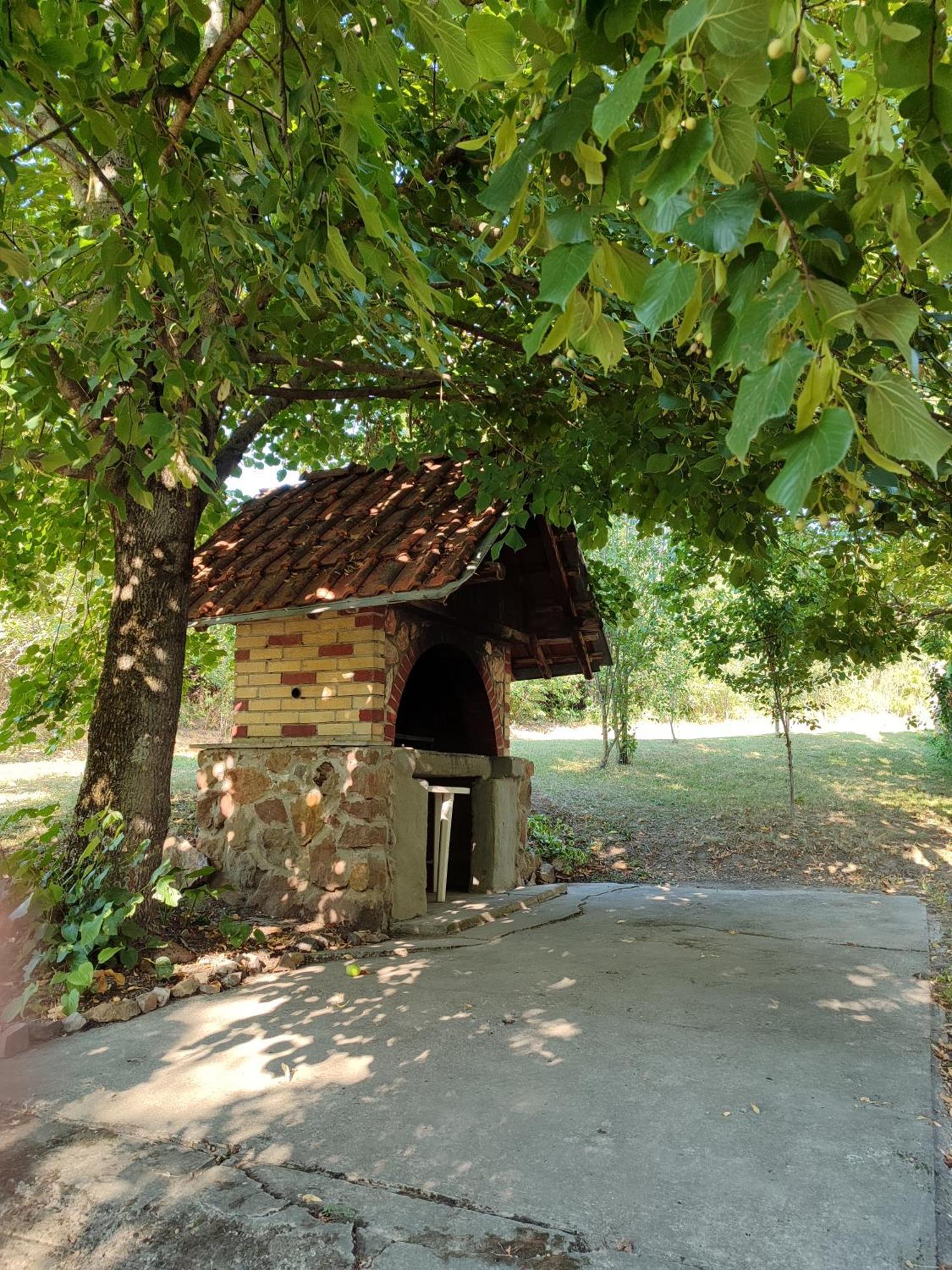 Sorg House Forest & Lake Villa Besenovacki Prnjavor Bagian luar foto